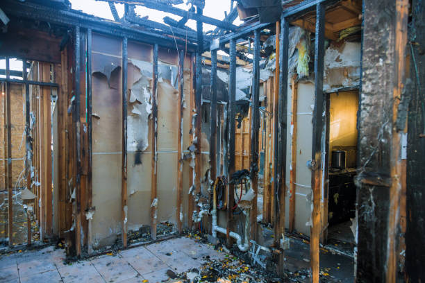 Professional Fire Damage Assessment technician working in Brookside Village, TX